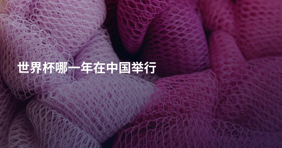 世界杯哪一年在中国举行