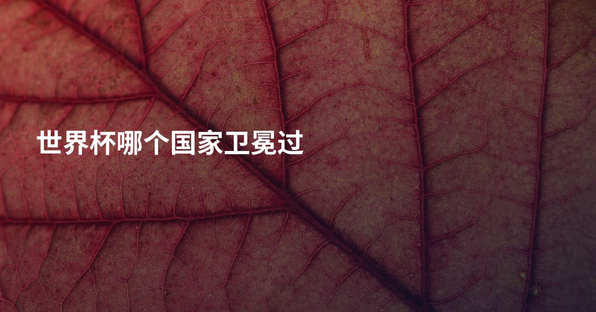 世界杯哪个国家卫冕过