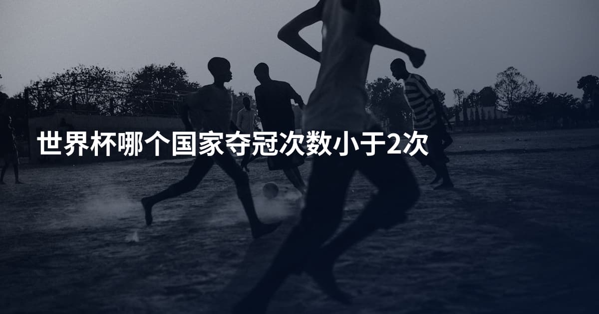 世界杯哪个国家夺冠次数小于2次