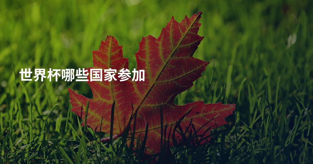 世界杯哪些国家参加