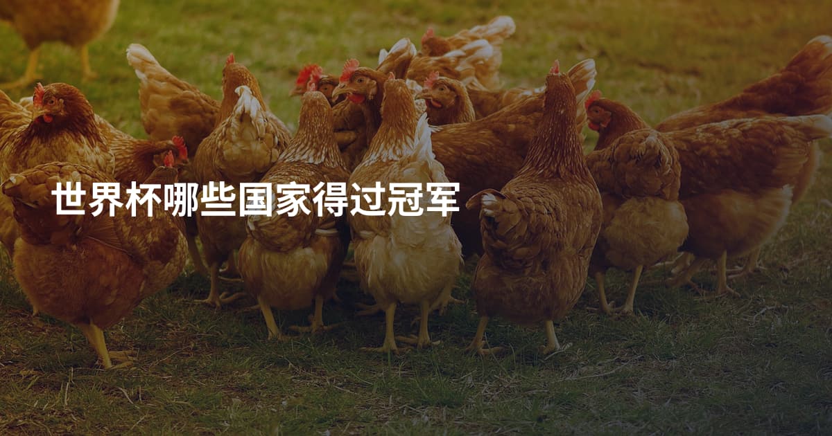 世界杯哪些国家得过冠军