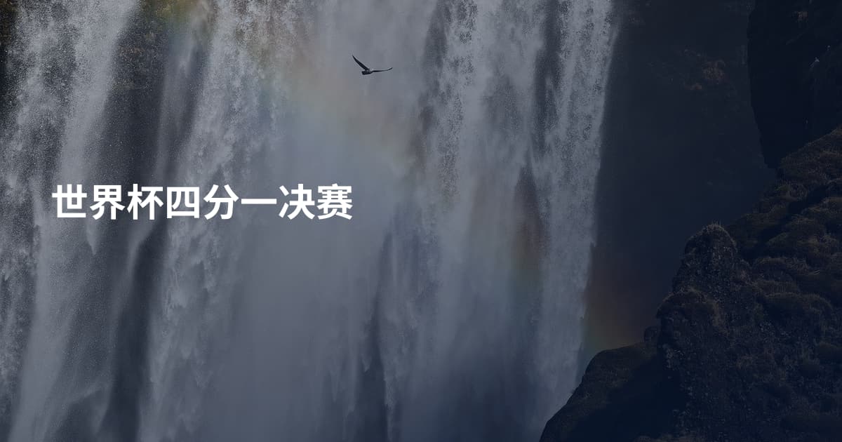 世界杯四分一决赛