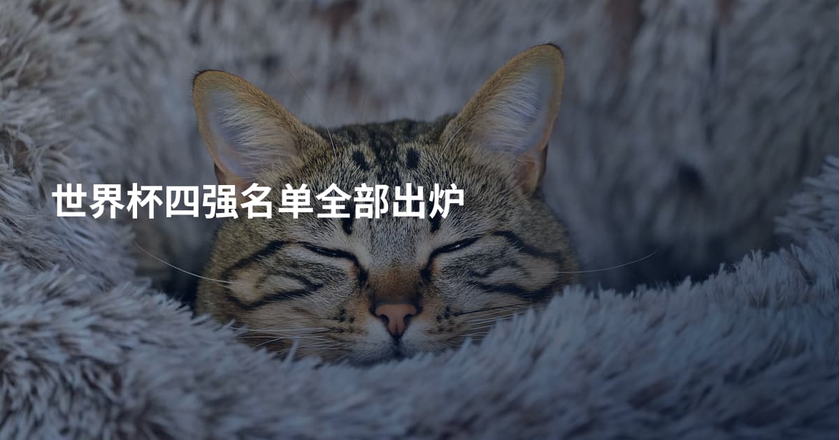 世界杯四强名单全部出炉