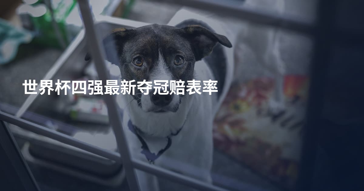 世界杯四强最新夺冠赔表率