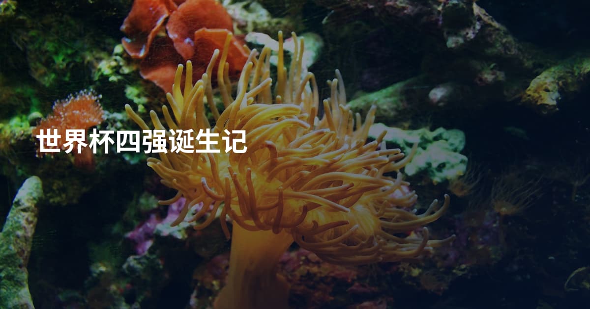 世界杯四强诞生记