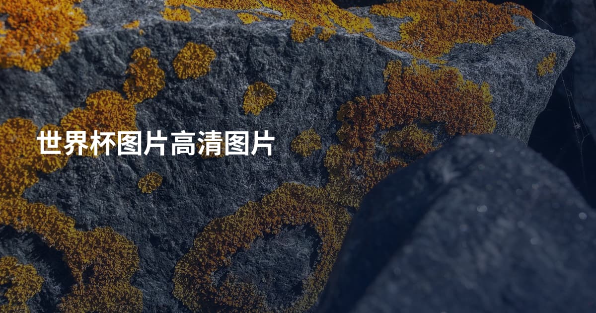 世界杯图片高清图片