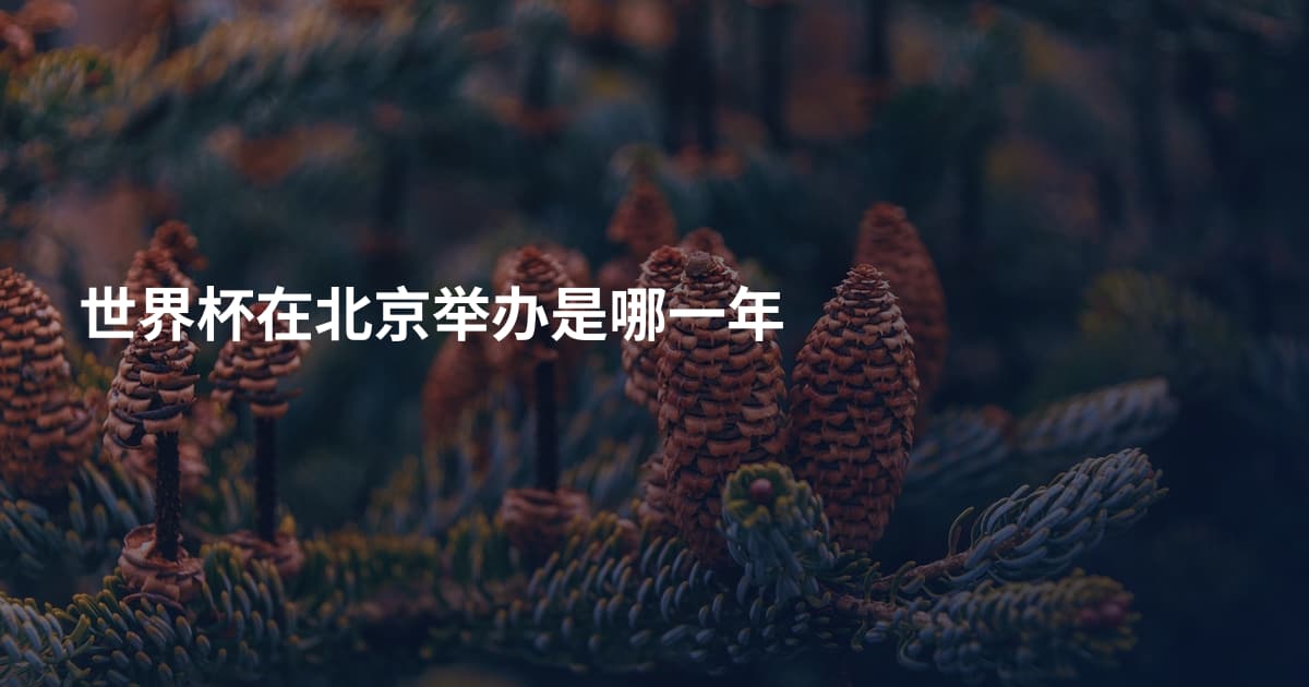 世界杯在北京举办是哪一年