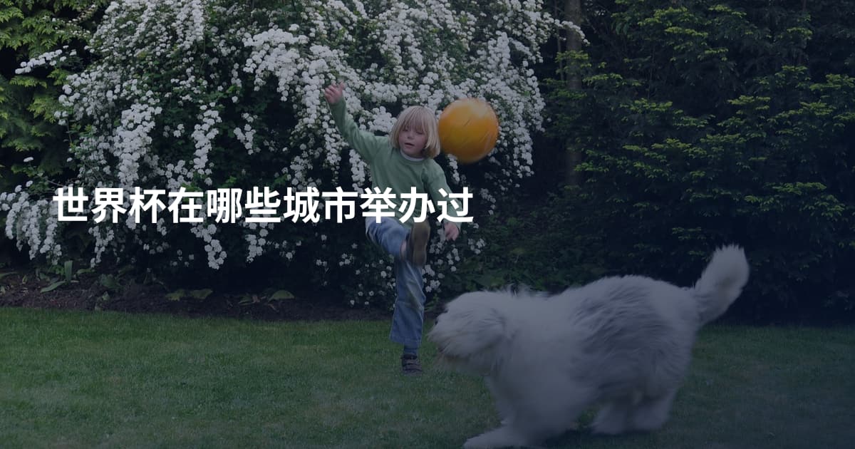 世界杯在哪些城市举办过