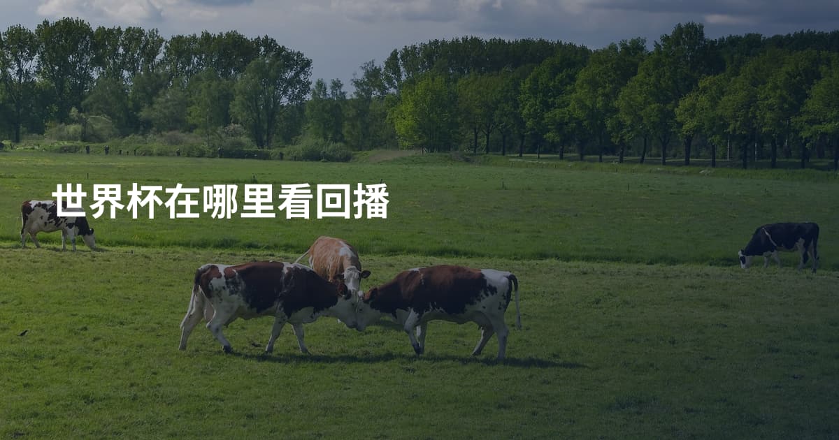 世界杯在哪里看回播