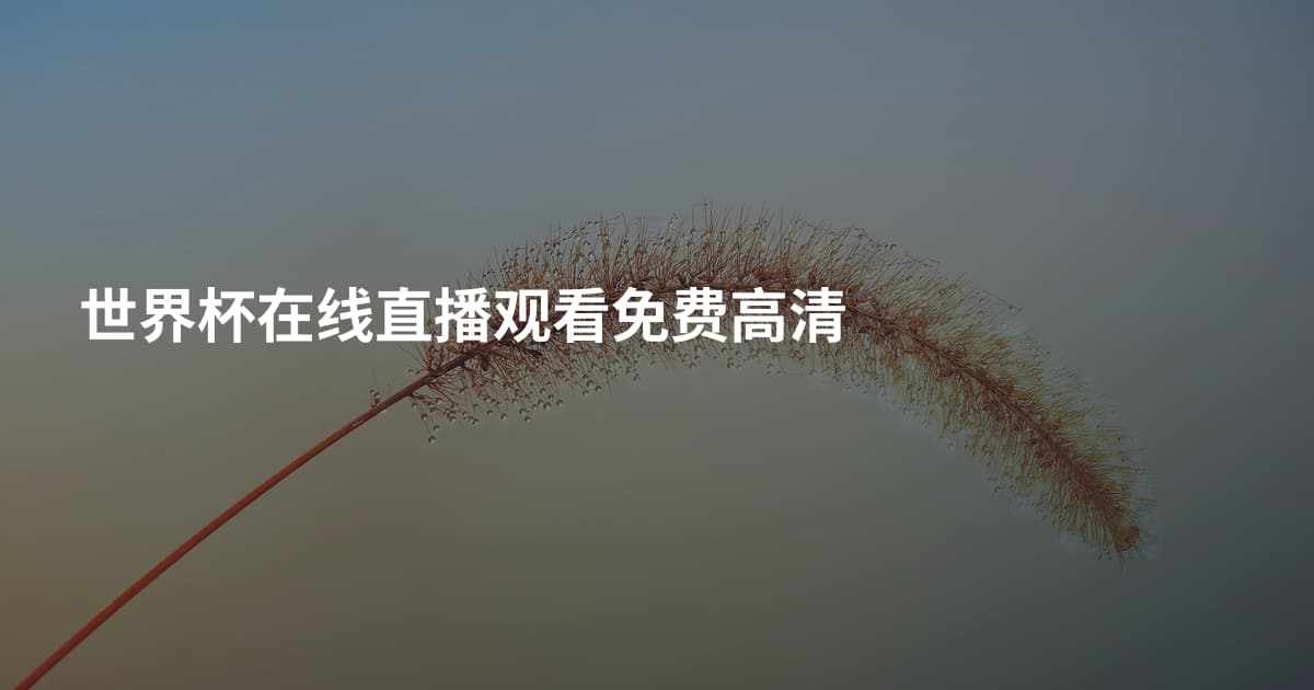 世界杯在线直播观看免费高清