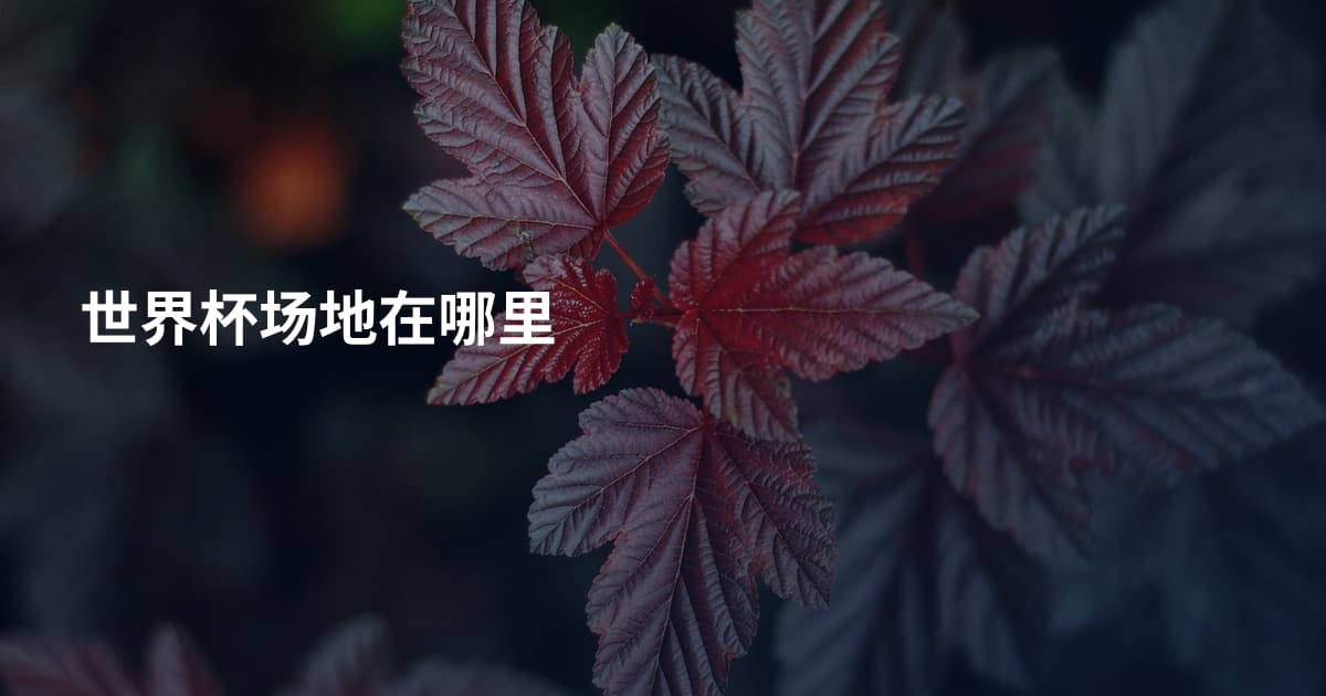 世界杯场地在哪里