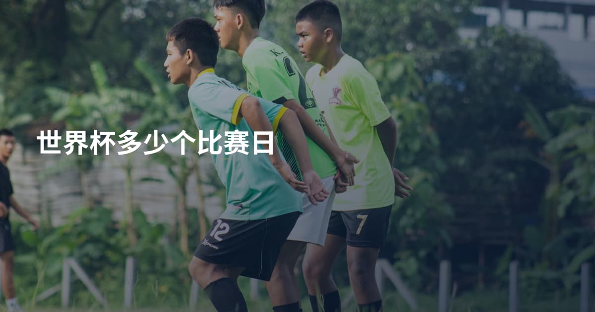 世界杯多少个比赛日