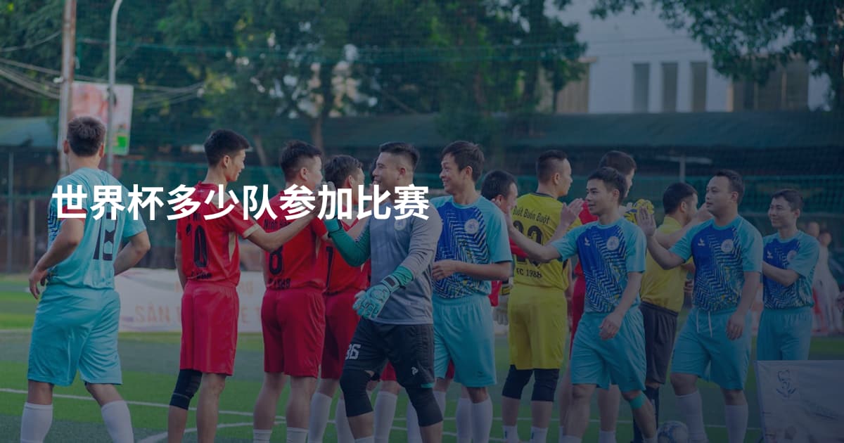 世界杯多少队参加比赛