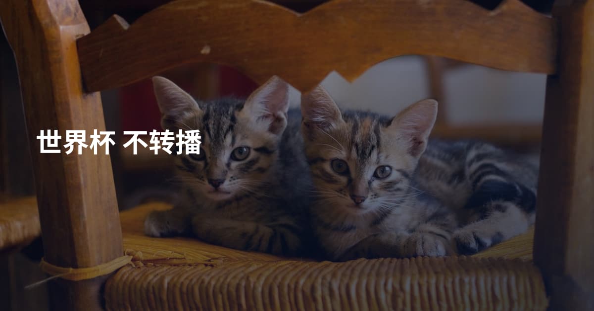 世界杯  不转播