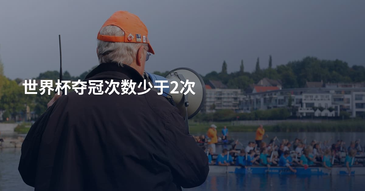 世界杯夺冠次数少于2次