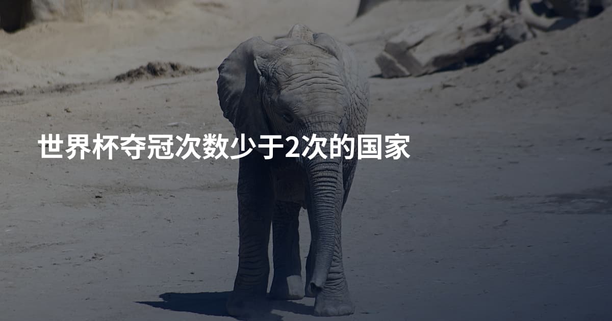 世界杯夺冠次数少于2次的国家