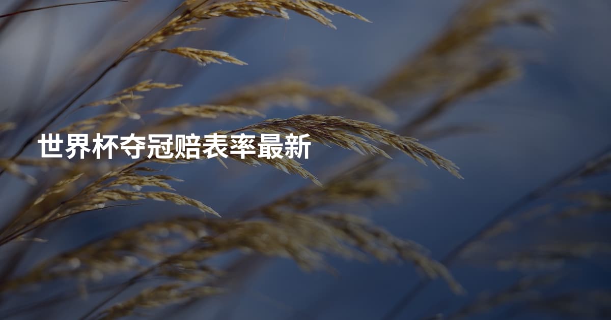 世界杯夺冠赔表率最新