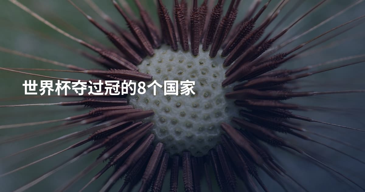 世界杯夺过冠的8个国家