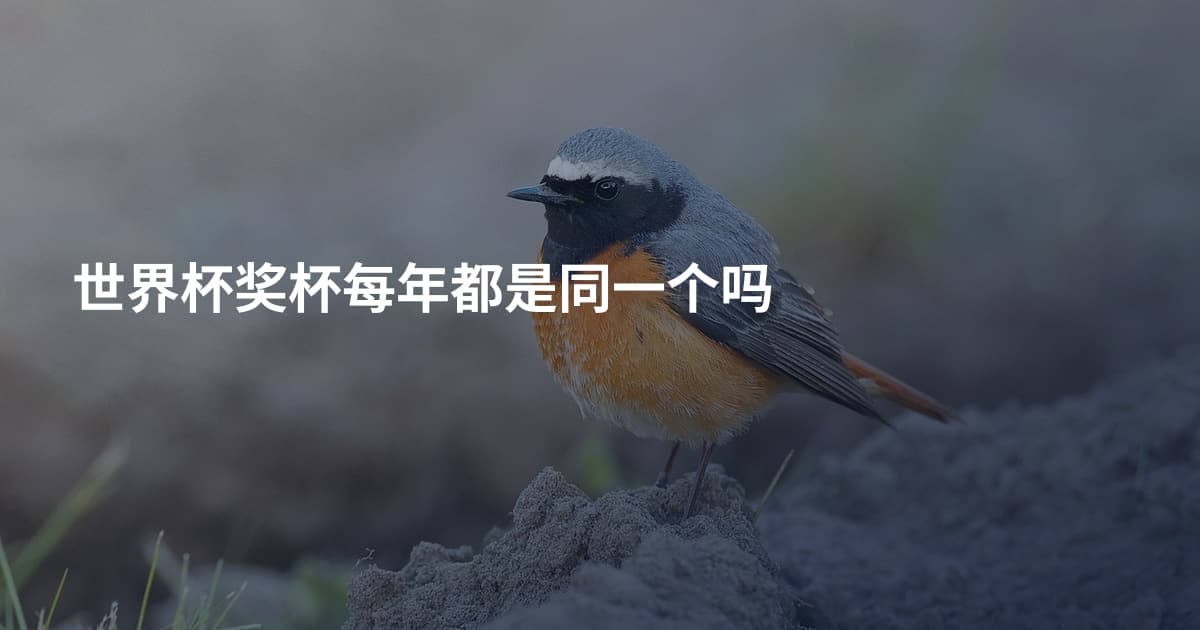 世界杯奖杯每年都是同一个吗