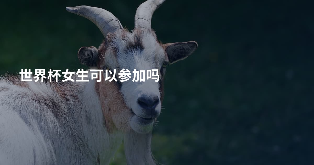 世界杯女生可以参加吗
