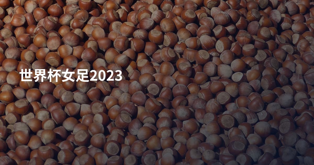 世界杯女足2023