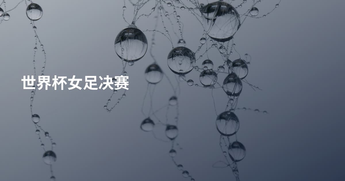 世界杯女足决赛