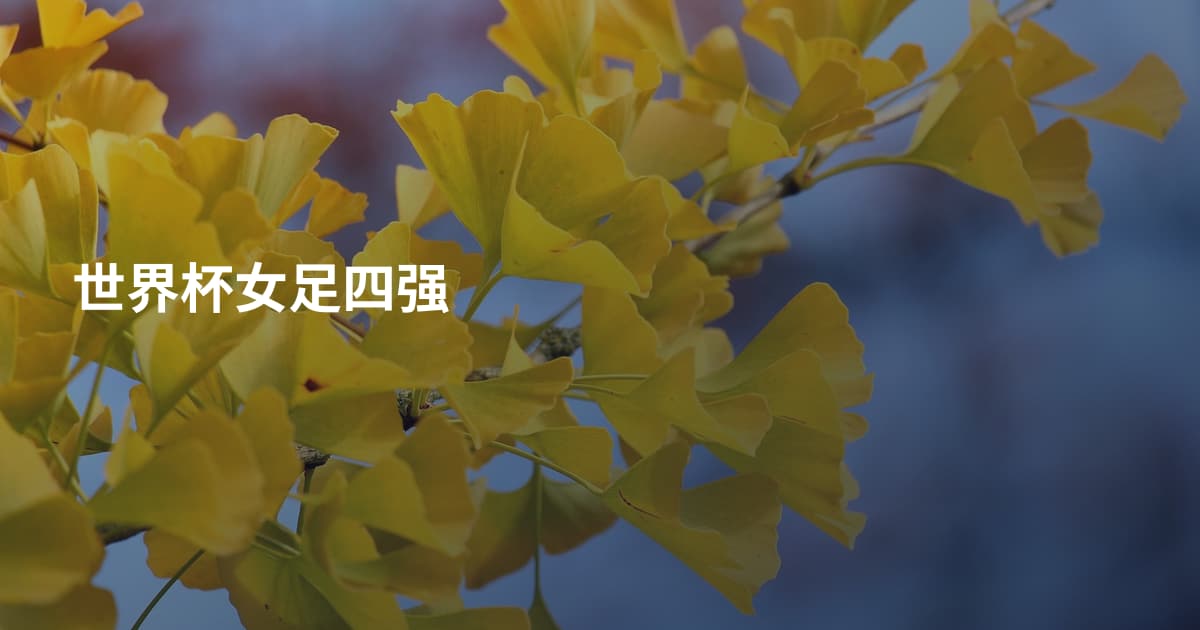 世界杯女足四强