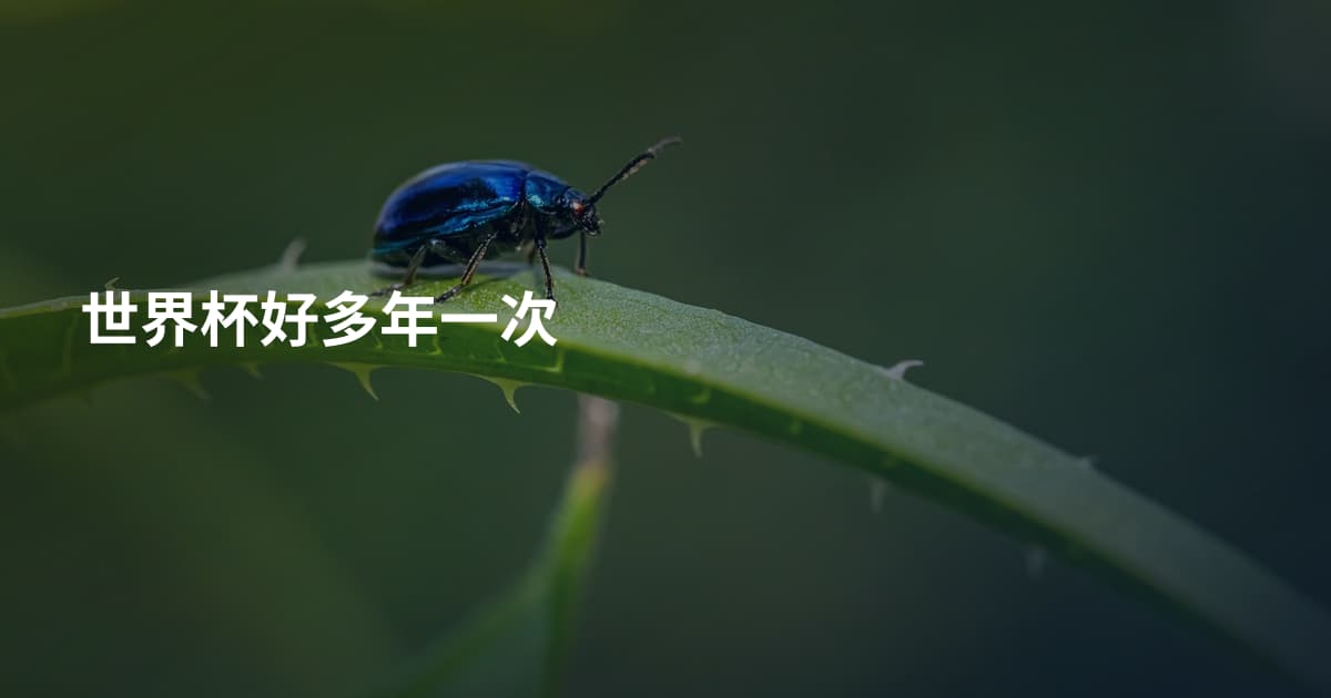 世界杯好多年一次