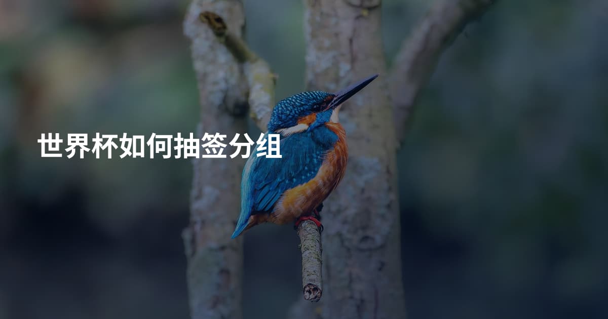 世界杯如何抽签分组