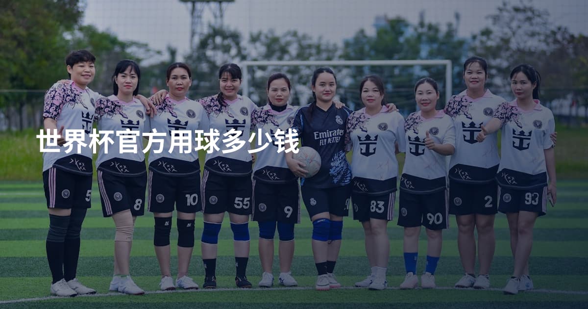 世界杯官方用球多少钱