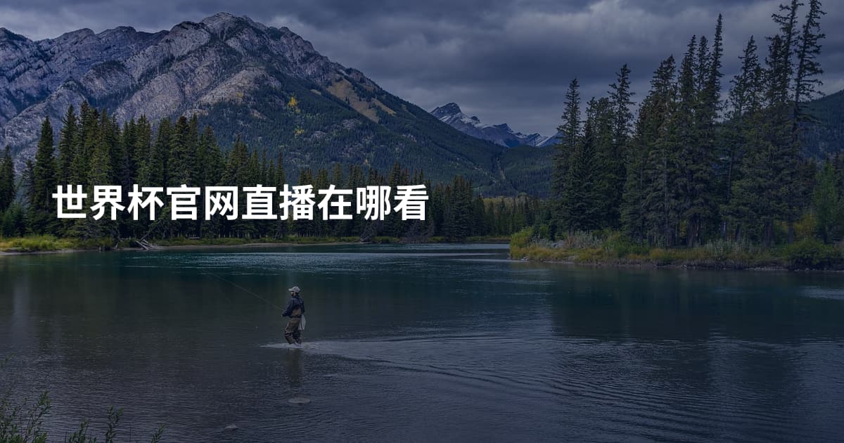 世界杯官网直播在哪看