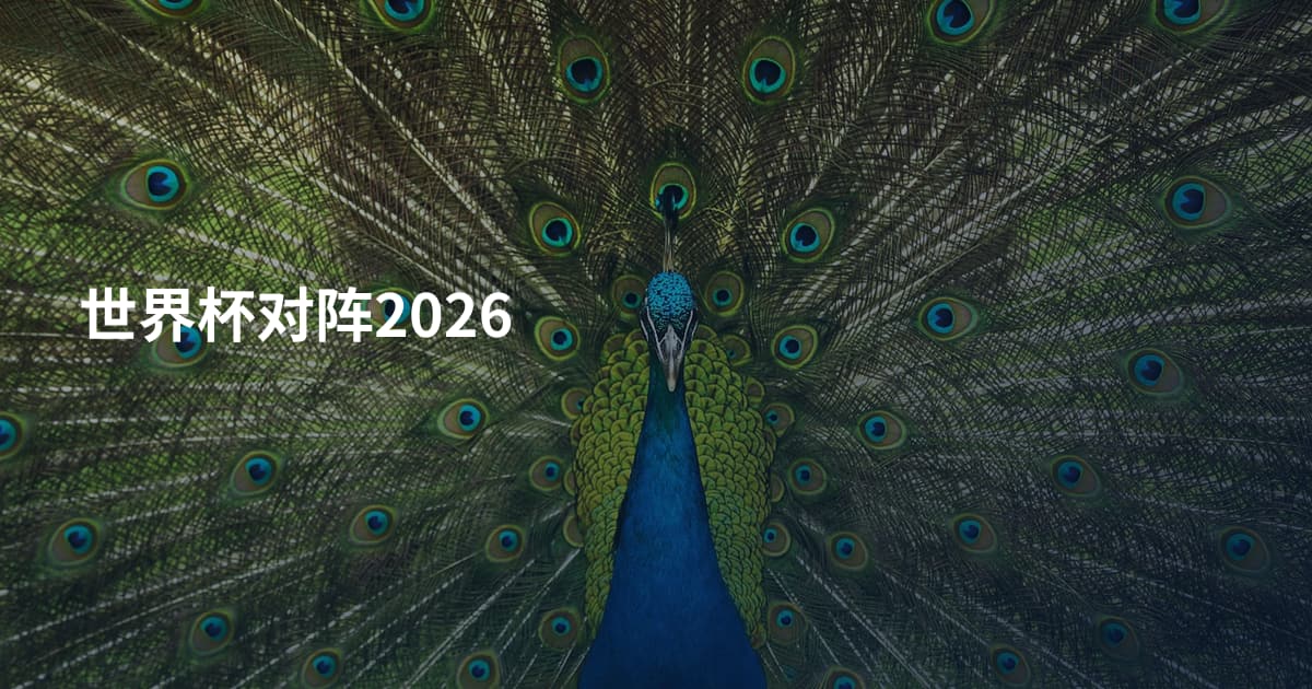 世界杯对阵2026
