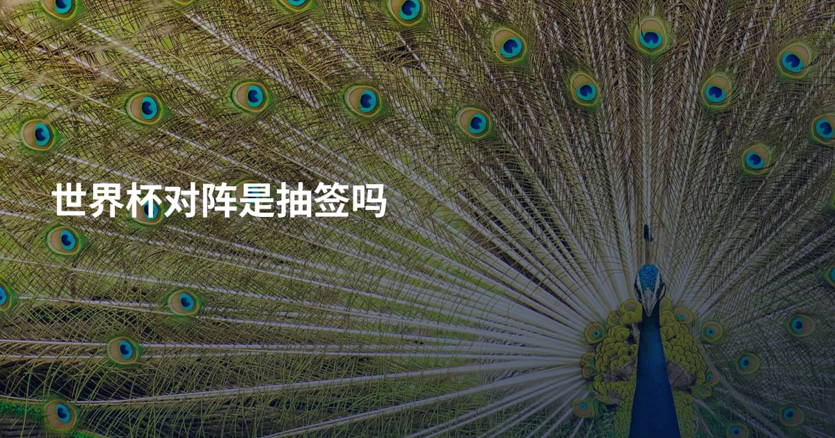 世界杯对阵是抽签吗