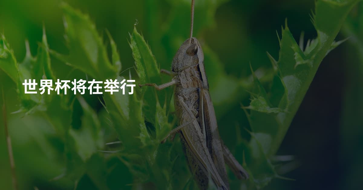 世界杯将在举行