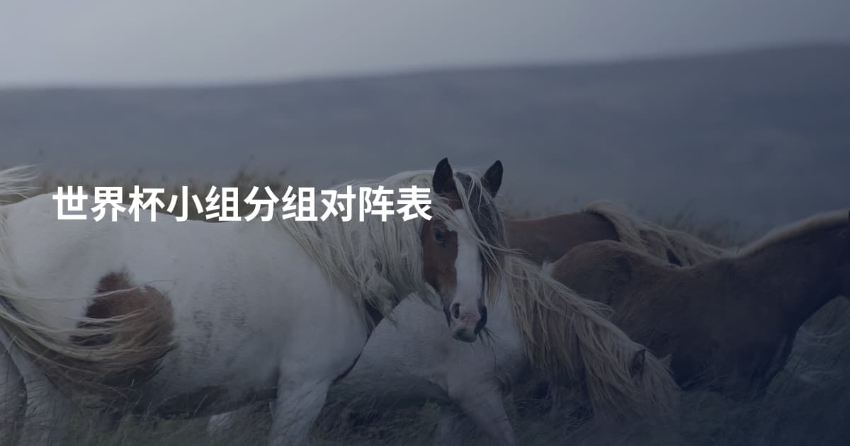 世界杯小组分组对阵表