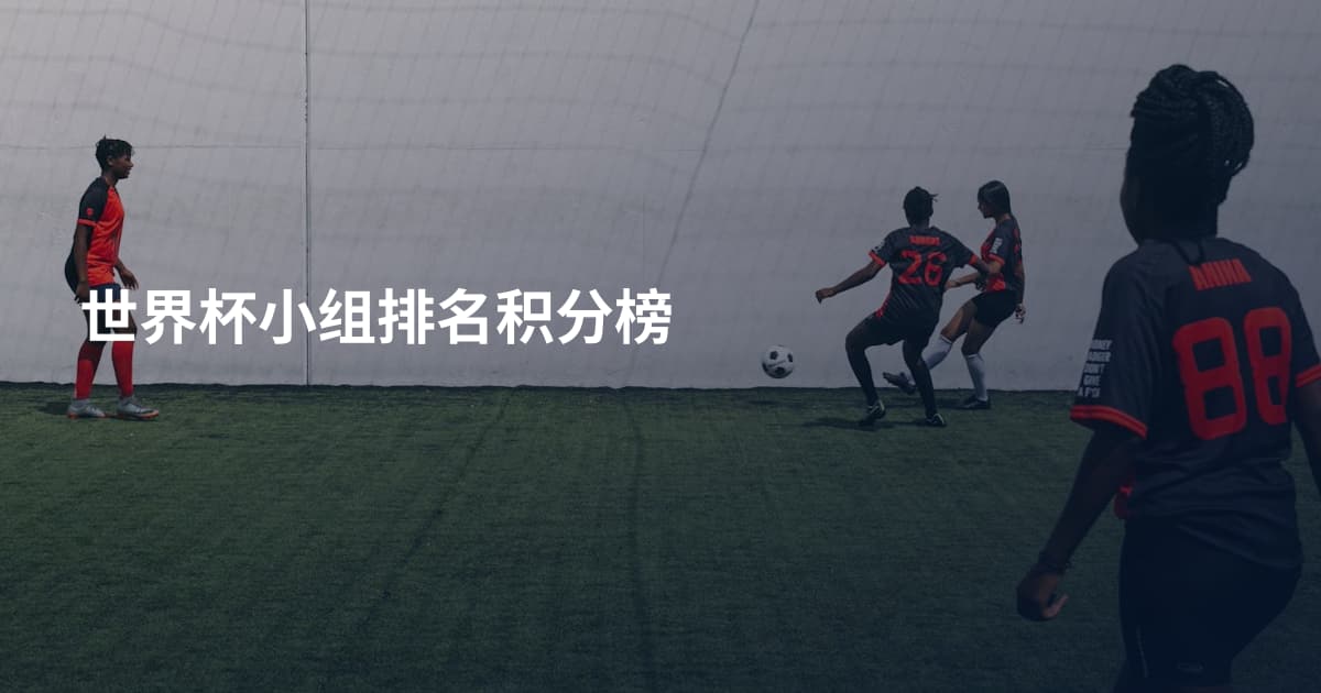 世界杯小组排名积分榜
