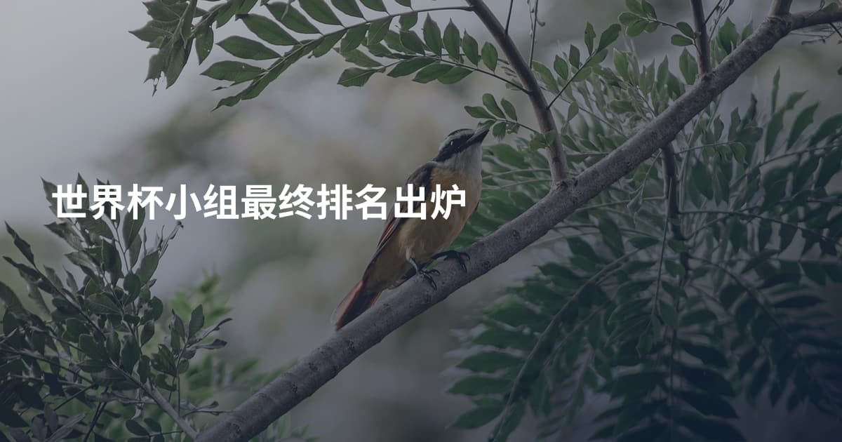 世界杯小组最终排名出炉