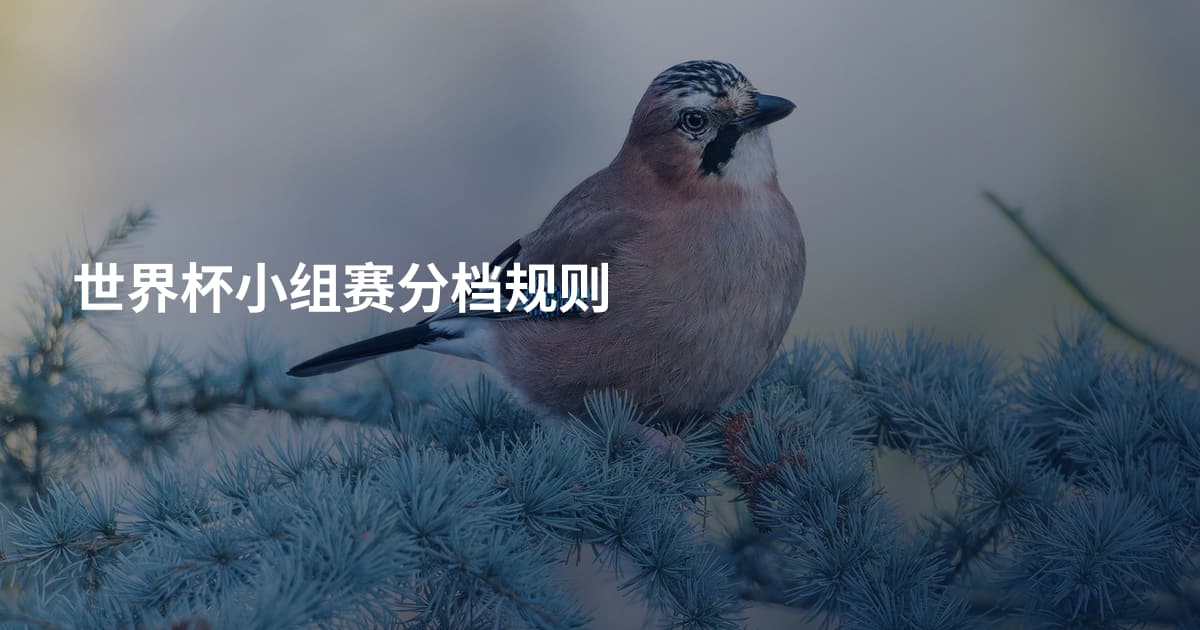 世界杯小组赛分档规则