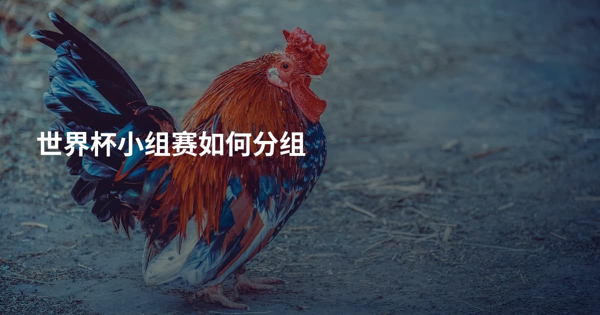 世界杯小组赛如何分组