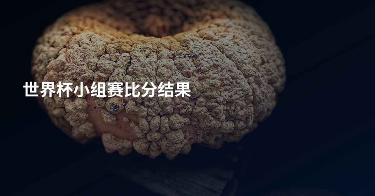 世界杯小组赛比分结果