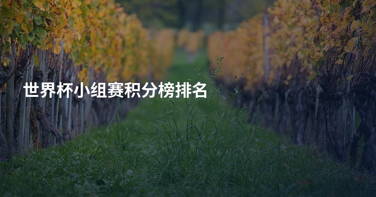 世界杯小组赛积分榜排名