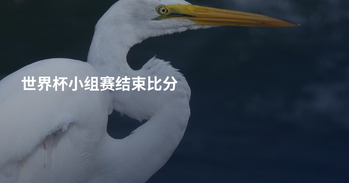 世界杯小组赛结束比分