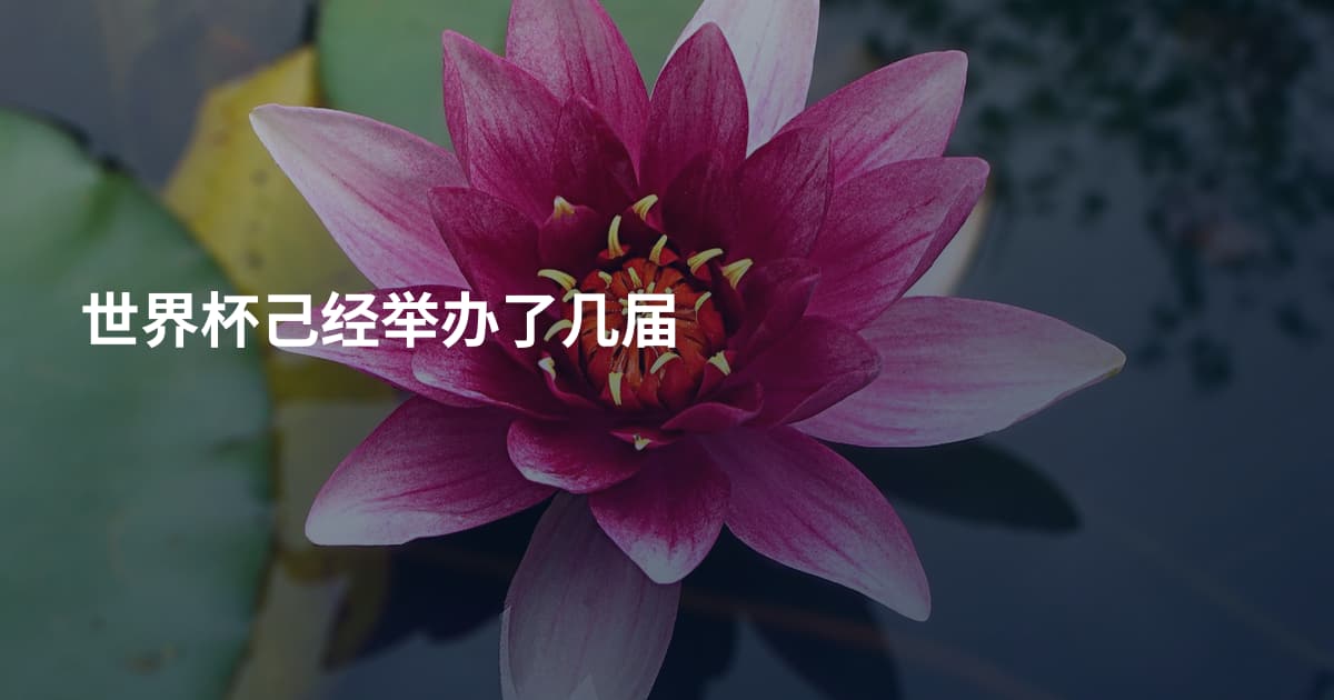 世界杯己经举办了几届