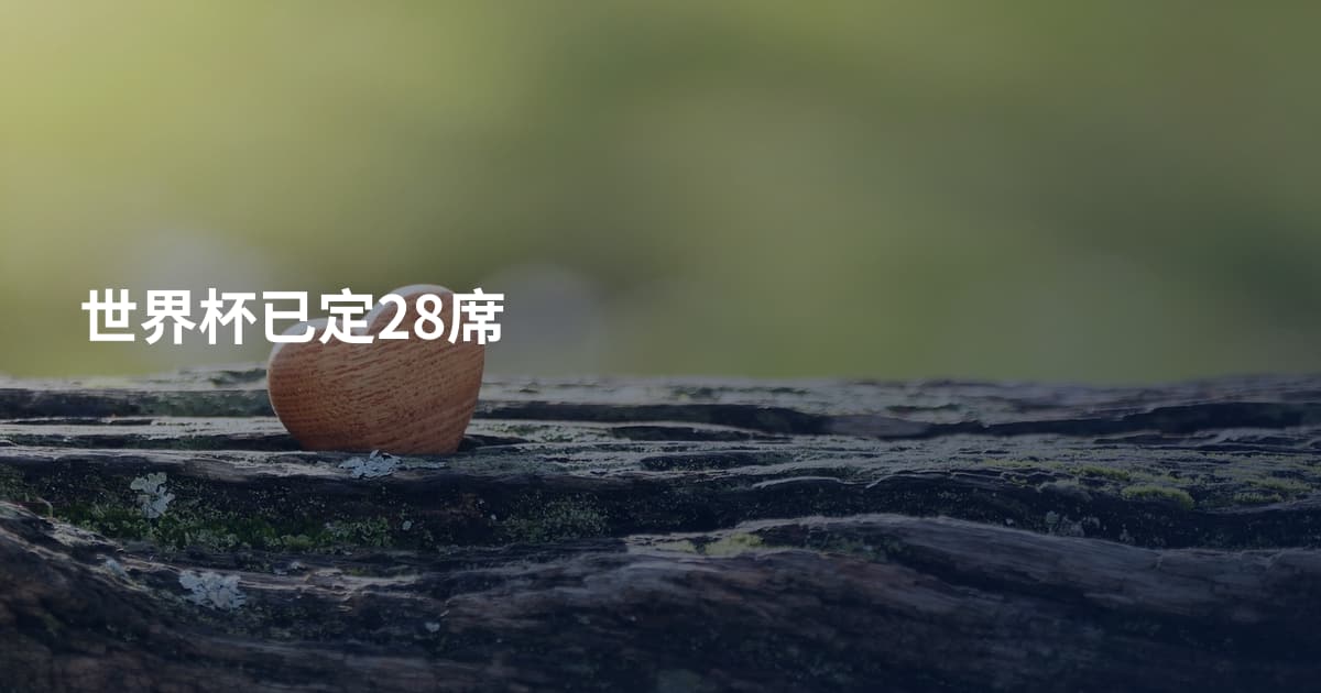 世界杯已定28席