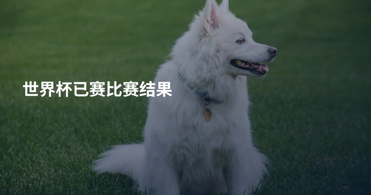 世界杯已赛比赛结果