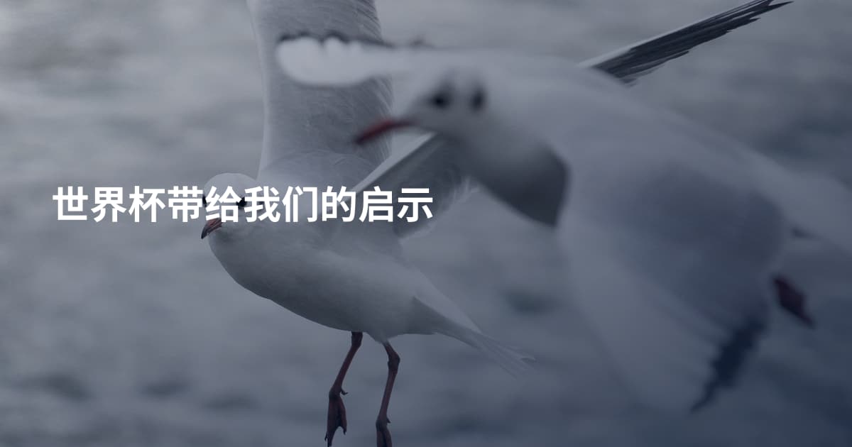 世界杯带给我们的启示