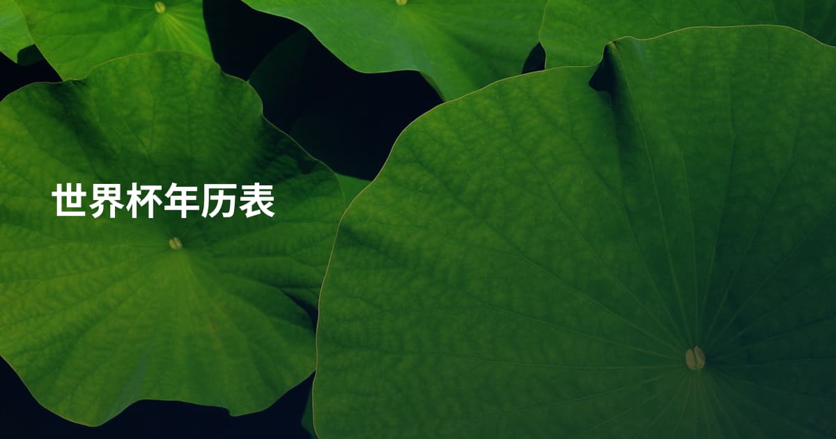 世界杯年历表