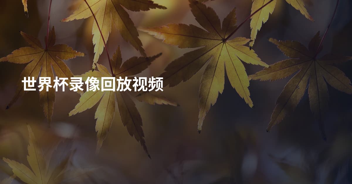 世界杯录像回放视频