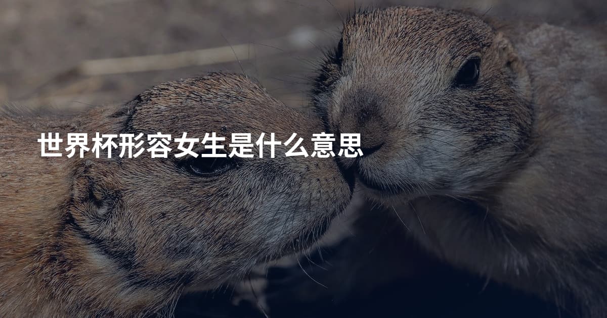 世界杯形容女生是什么意思