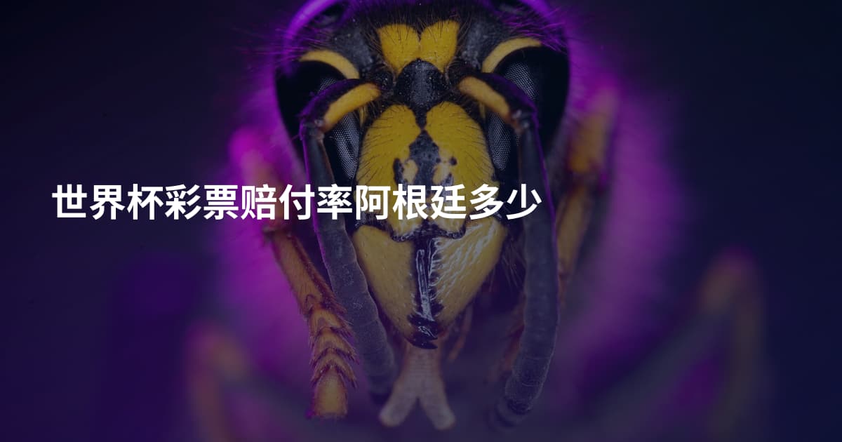 世界杯彩票赔付率阿根廷多少